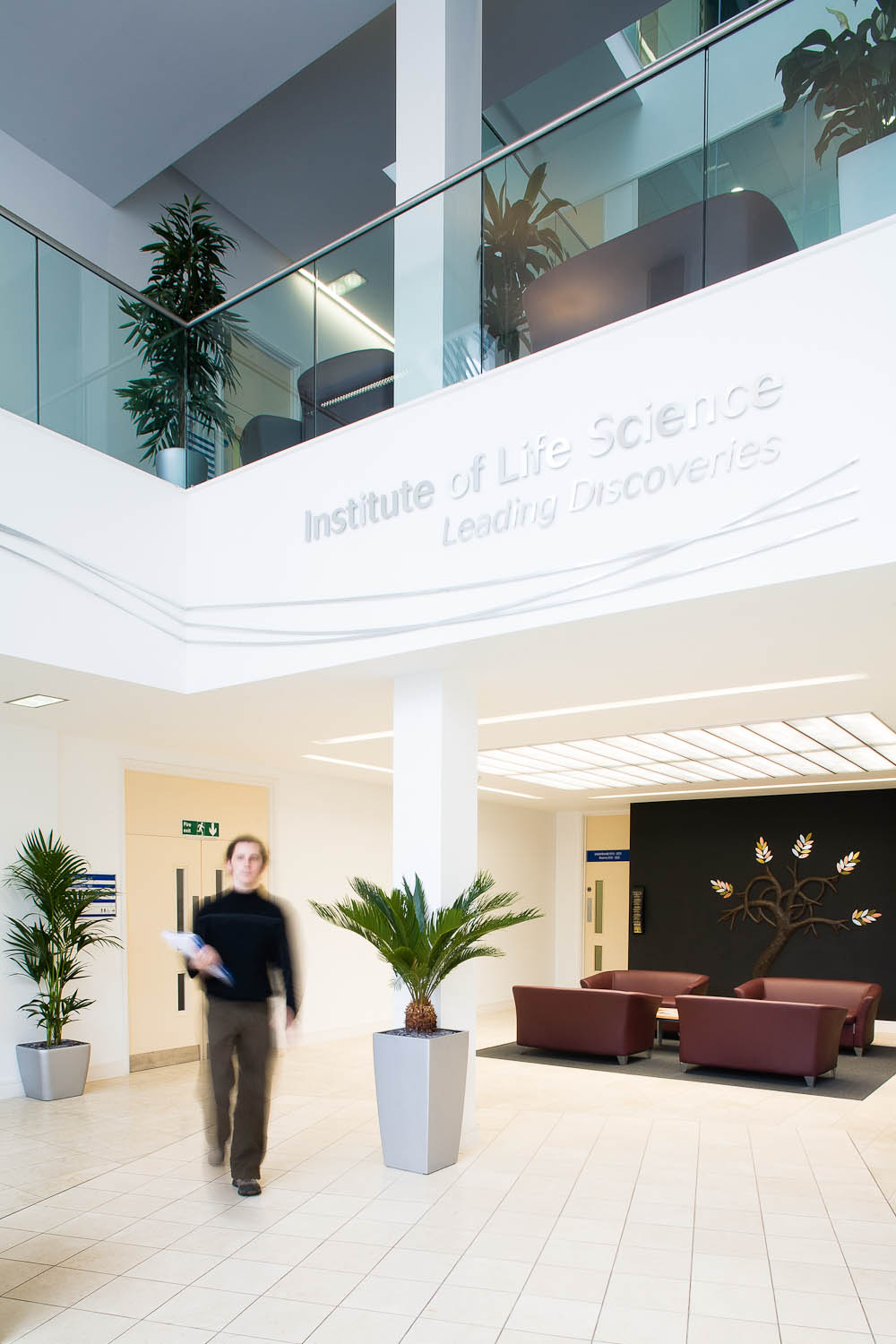 Institute of Life Science, Swansea, Wales, Ove Arup & Partners