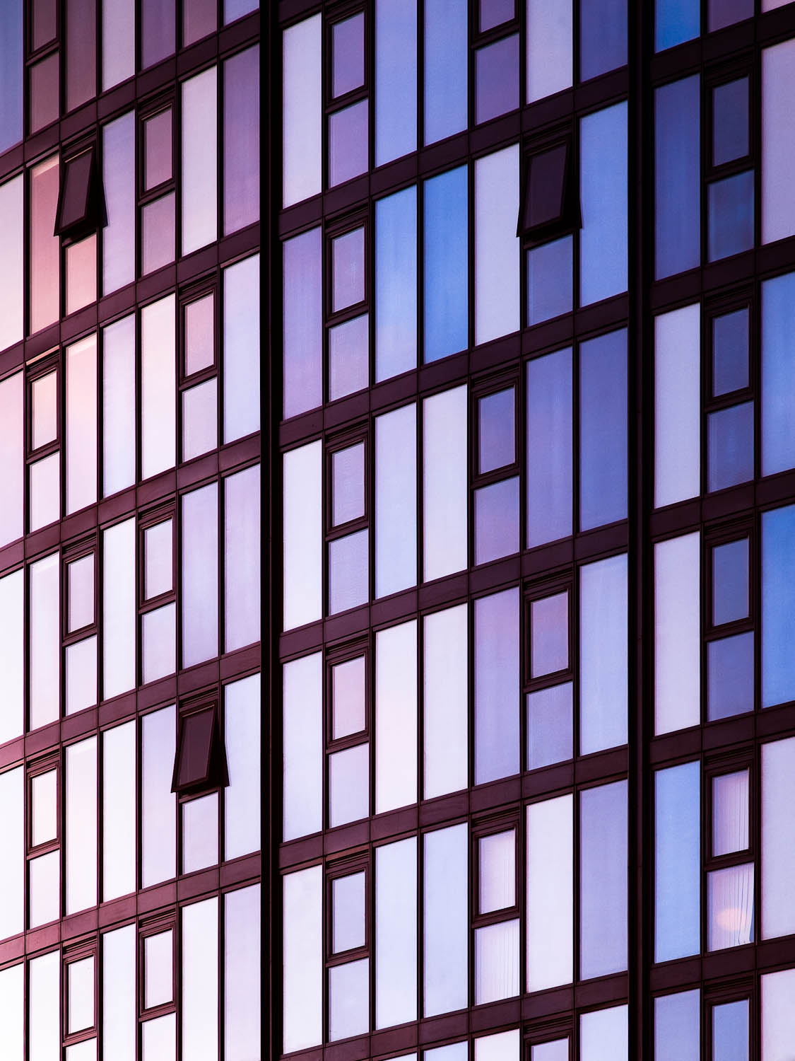 iQuater, Sheffield, Cartwright Pickard Architects