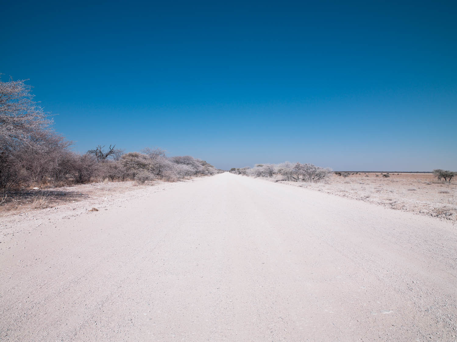 The Road, Namibia, Southern Africa